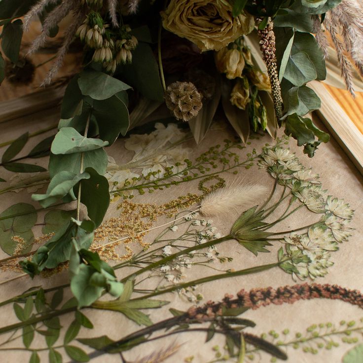 When the Garden Comes Inside